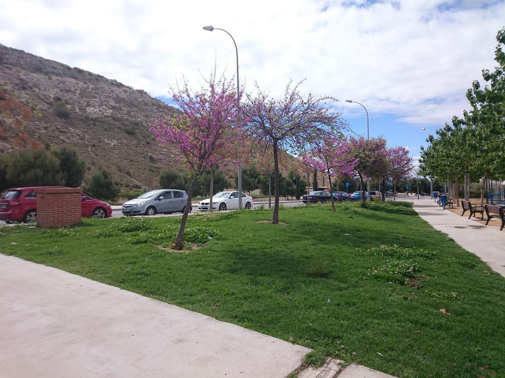 Mar Y Castillo By Gloove Alicante Exterior foto